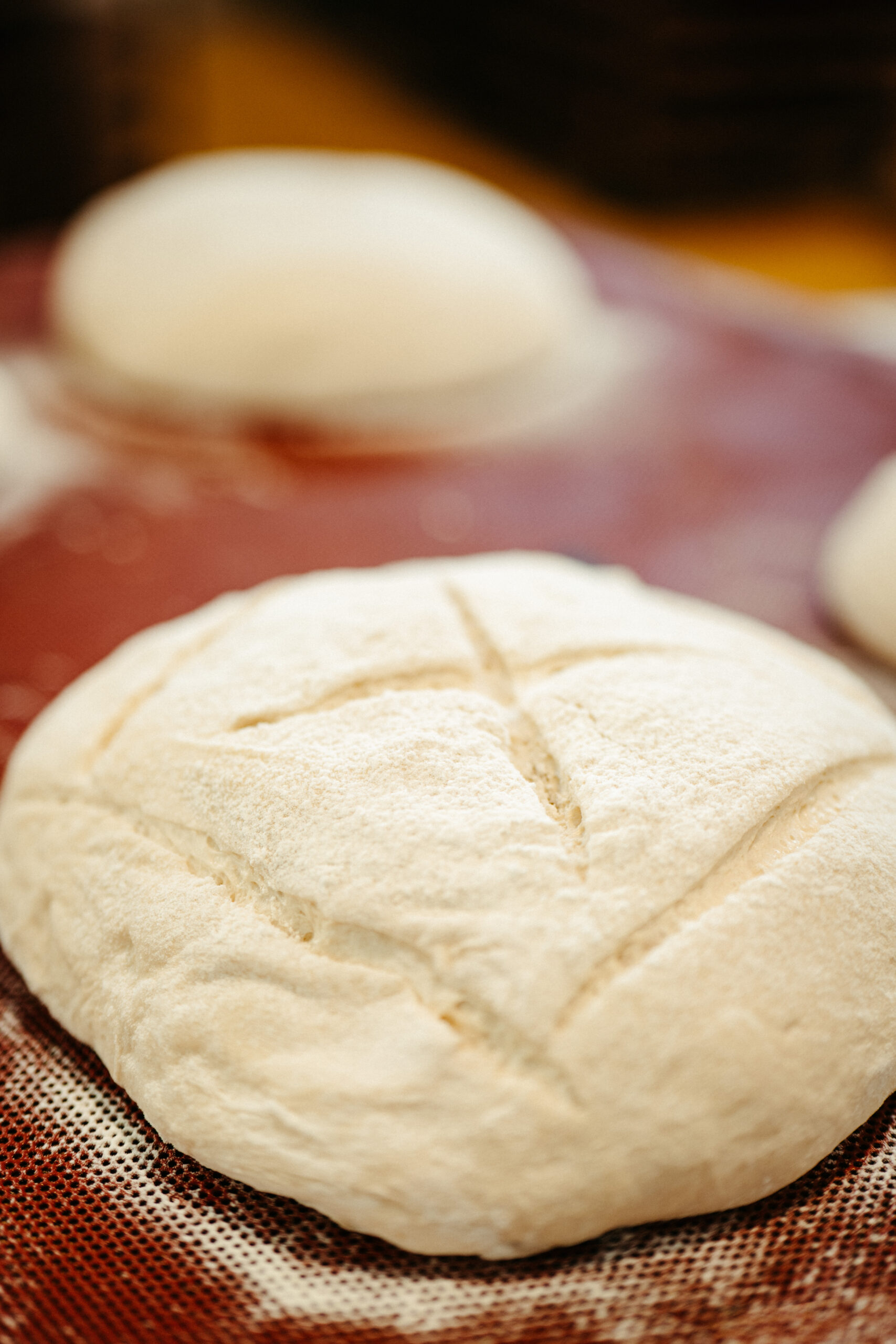 alvapan panadería artesana